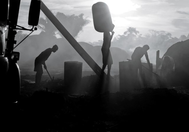 O desmatamento continua, à base de trabalho escravo. Por Kay Chernush / Free the Slaves